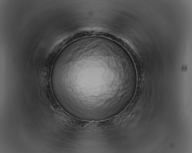 X0000089960967200707131533