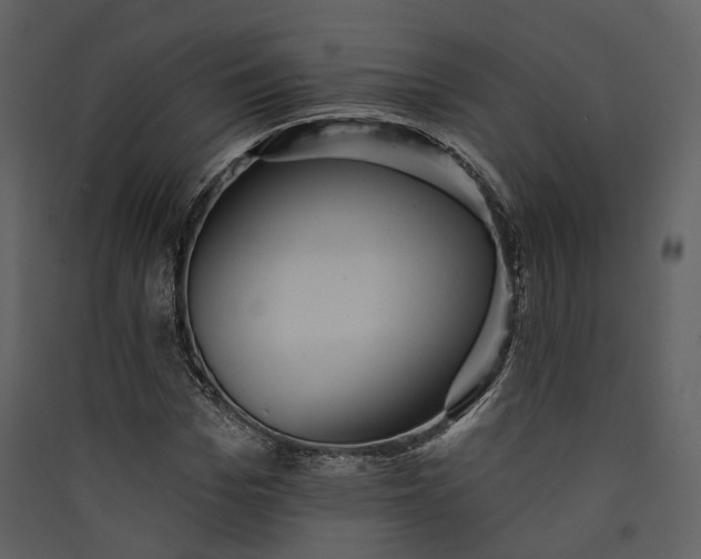 X0000089960969200707131533