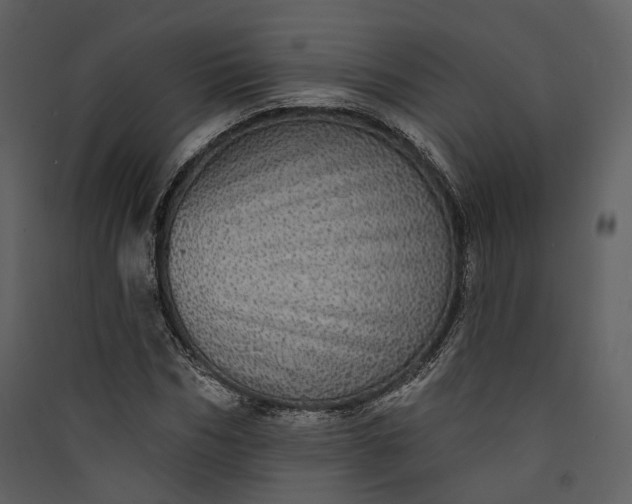 X0000089960970200707131533