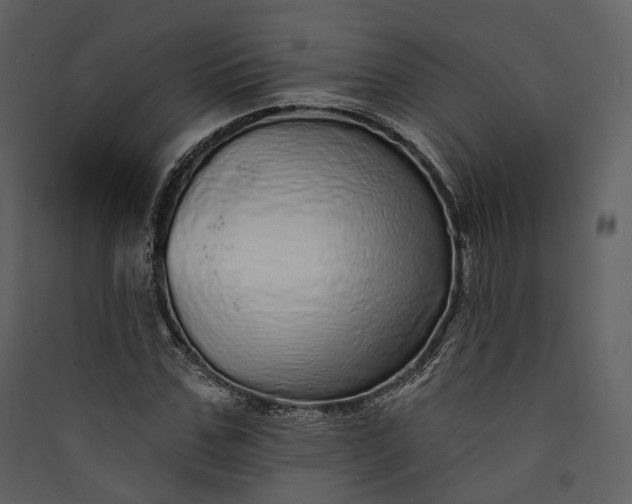 X0000089960971200707131533