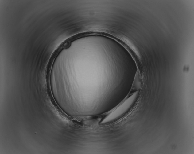X0000089960972200707131533