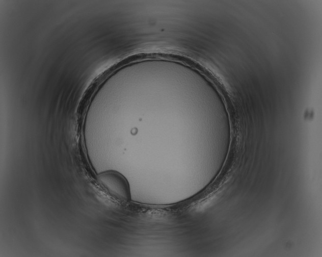 X0000089960974200707131533