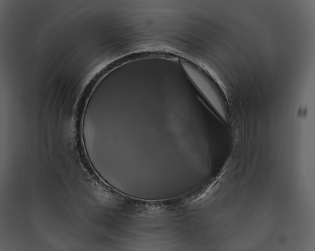 X0000089960975200707131533