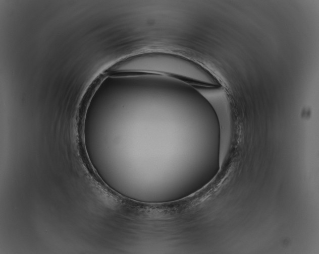 X0000089960976200707131533