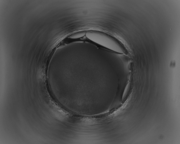 X0000089960977200707131533