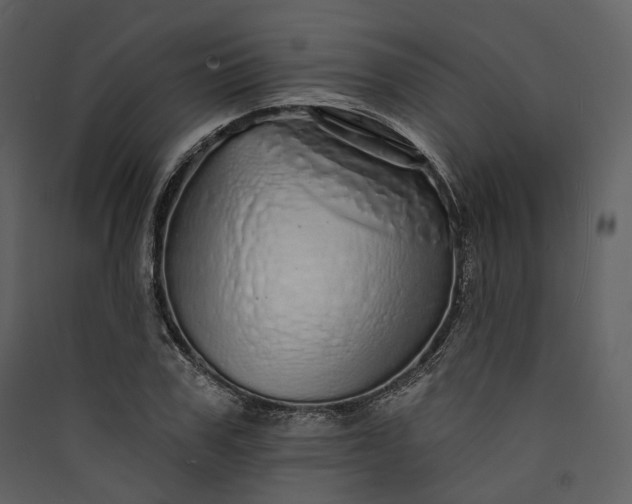 X0000089960979200707131533