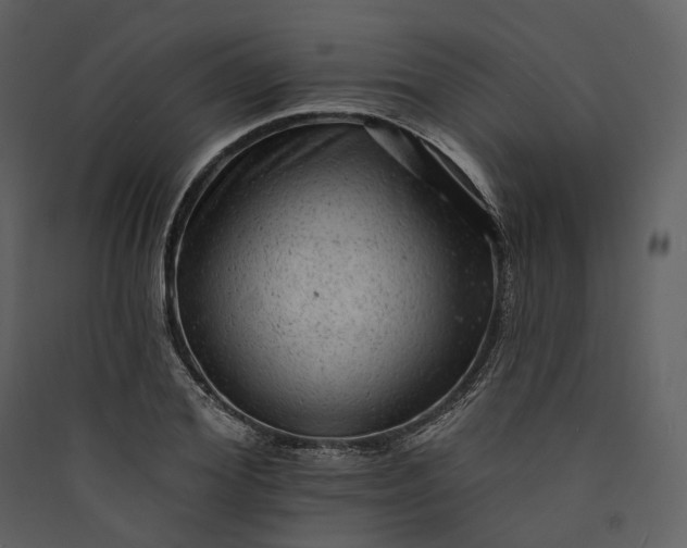 X0000089960980200707131533