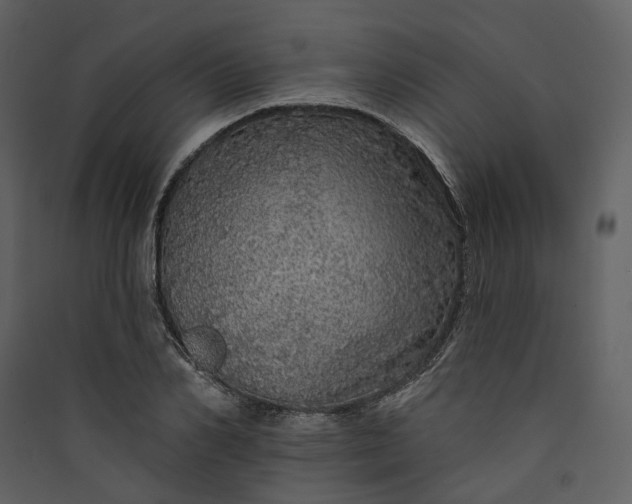 X0000089960982200707131533