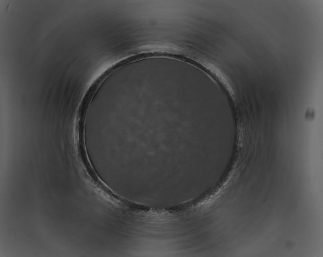 X0000089960983200707131533