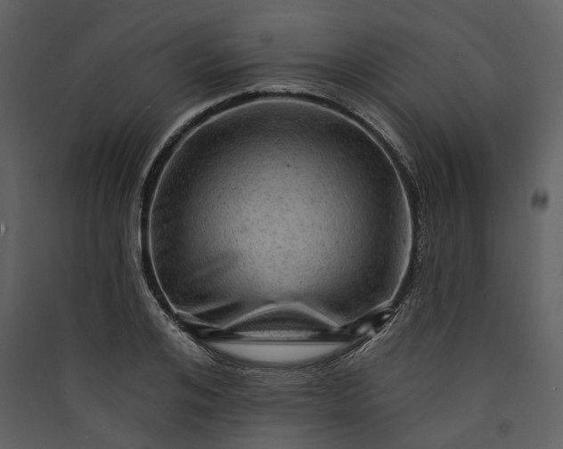 X0000089960984200707131533