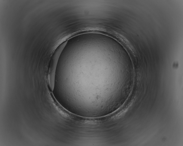 X0000089960985200707131533