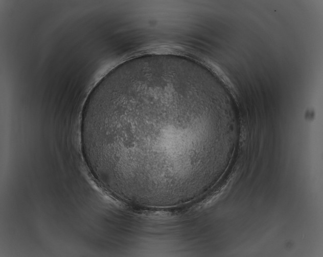 X0000089960986200707131533