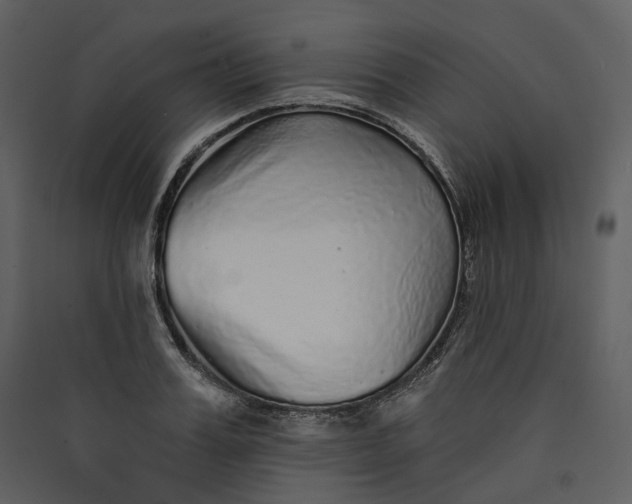 X0000089960987200707131533