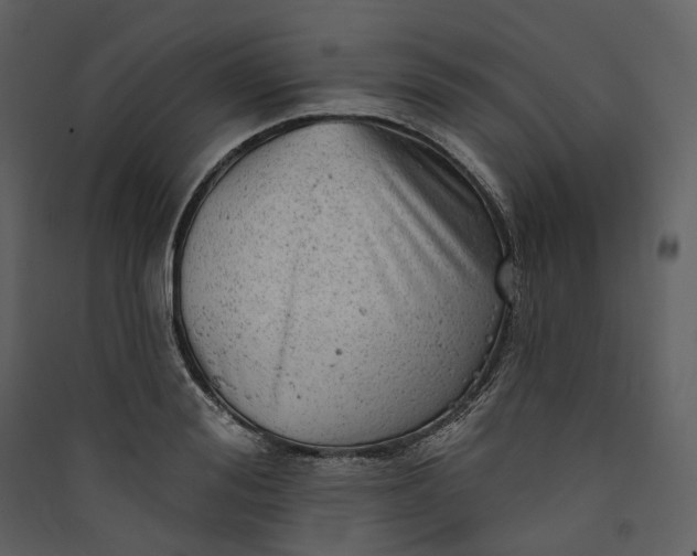 X0000089960988200707131533