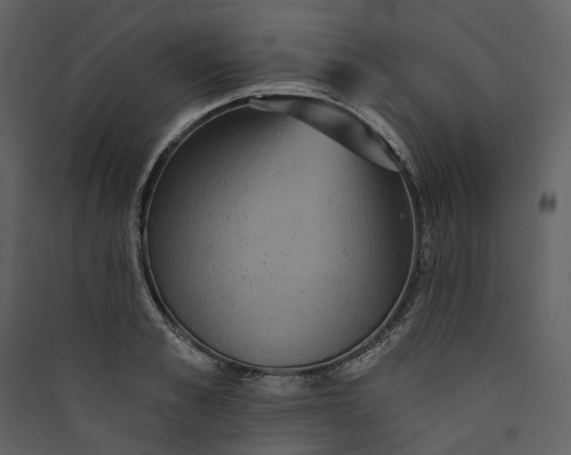 X0000089960989200707131533