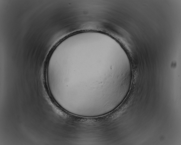 X0000089960991200707131533