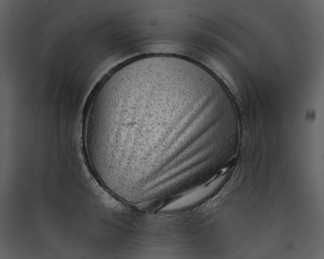 X0000089960992200707131533