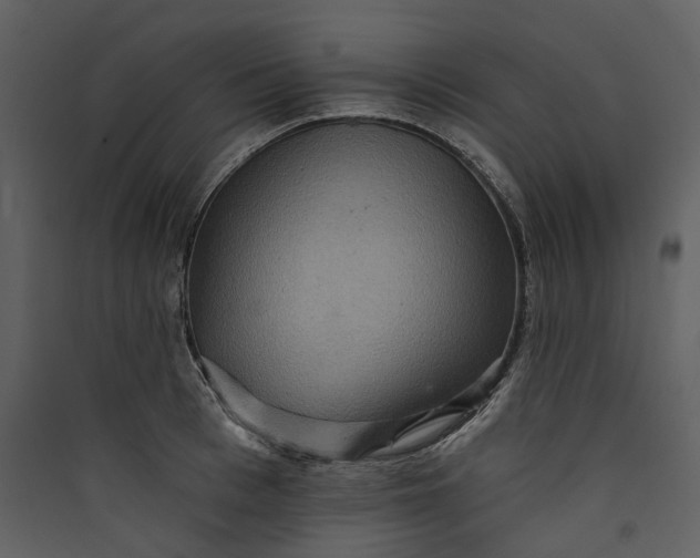 X0000089960993200707131533