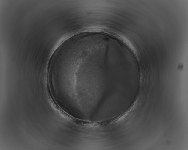 X0000089960994200707131533
