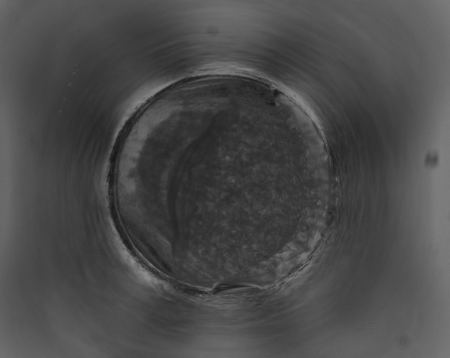 X0000089960995200707131533