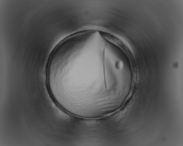 X0000089960999200707131533