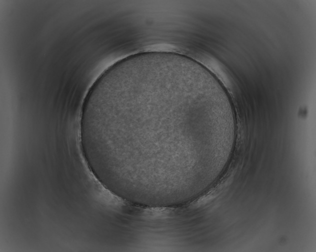 X0000089961000200707131533