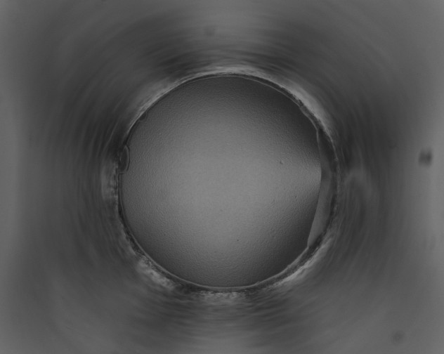 X0000089961001200707131533