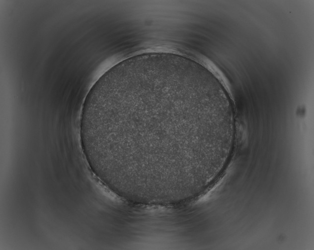 X0000089961002200707131533