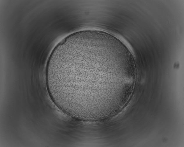 X0000089961004200707131533