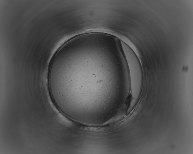 X0000089961005200707131533