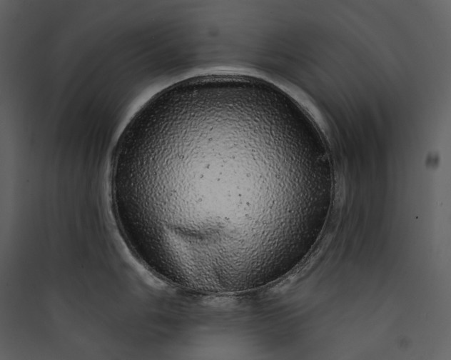 X0000089961006200707131533