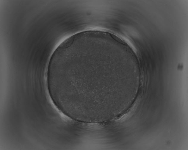 X0000089961007200707131533