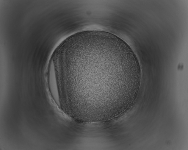 X0000089961008200707131533
