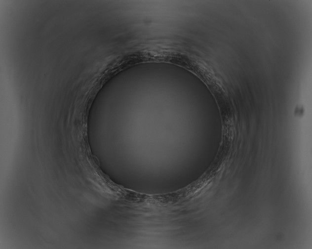 X0000089961009200707131532