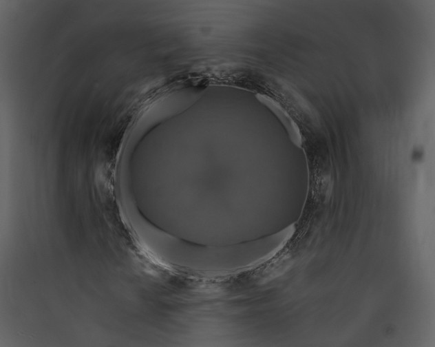 X0000089961010200707131532