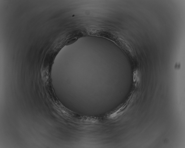 X0000089961011200707131532