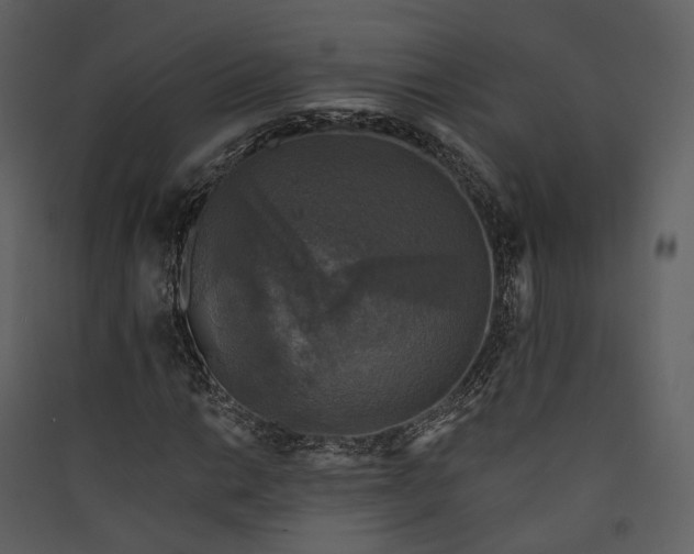 X0000089961014200707131532