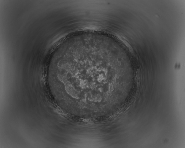 X0000089961015200707131532