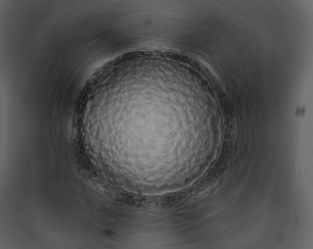 X0000089961016200707131532