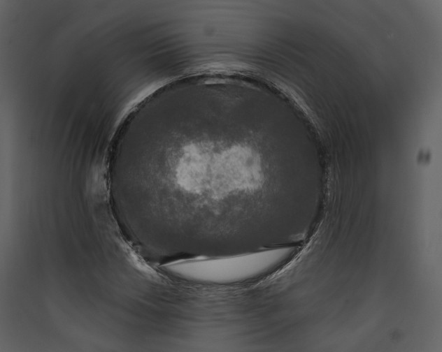 X0000089961018200707131532