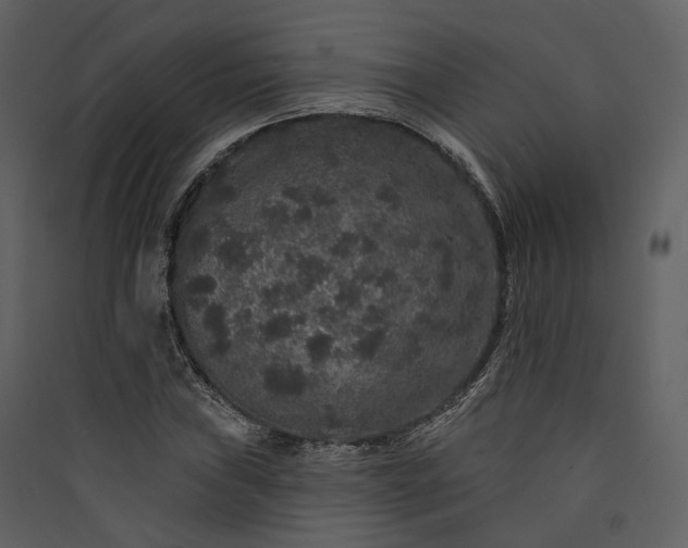 X0000089961019200707131532
