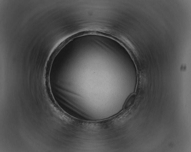 X0000089961020200707131532