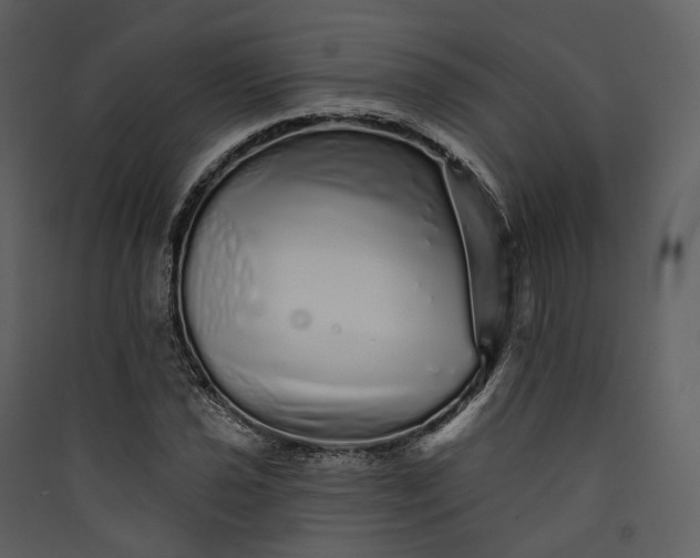 X0000089961021200707131532