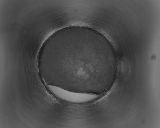 X0000089961022200707131532