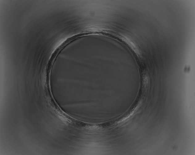X0000089961023200707131532