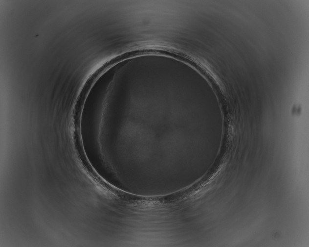 X0000089961024200707131532