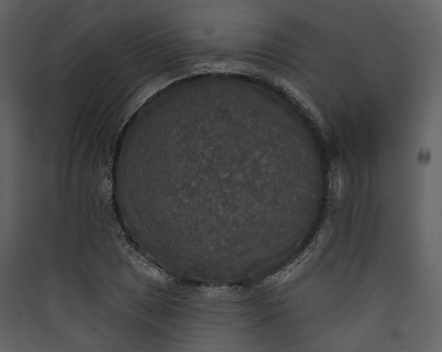 X0000089961025200707131532