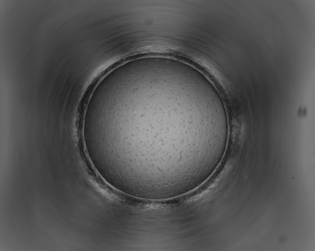 X0000089961026200707131532