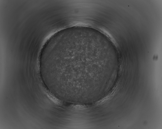 X0000089961027200707131532