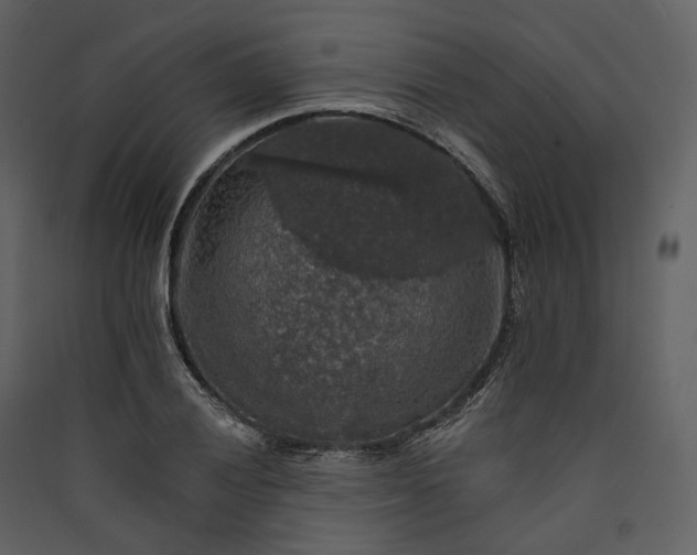 X0000089961028200707131532